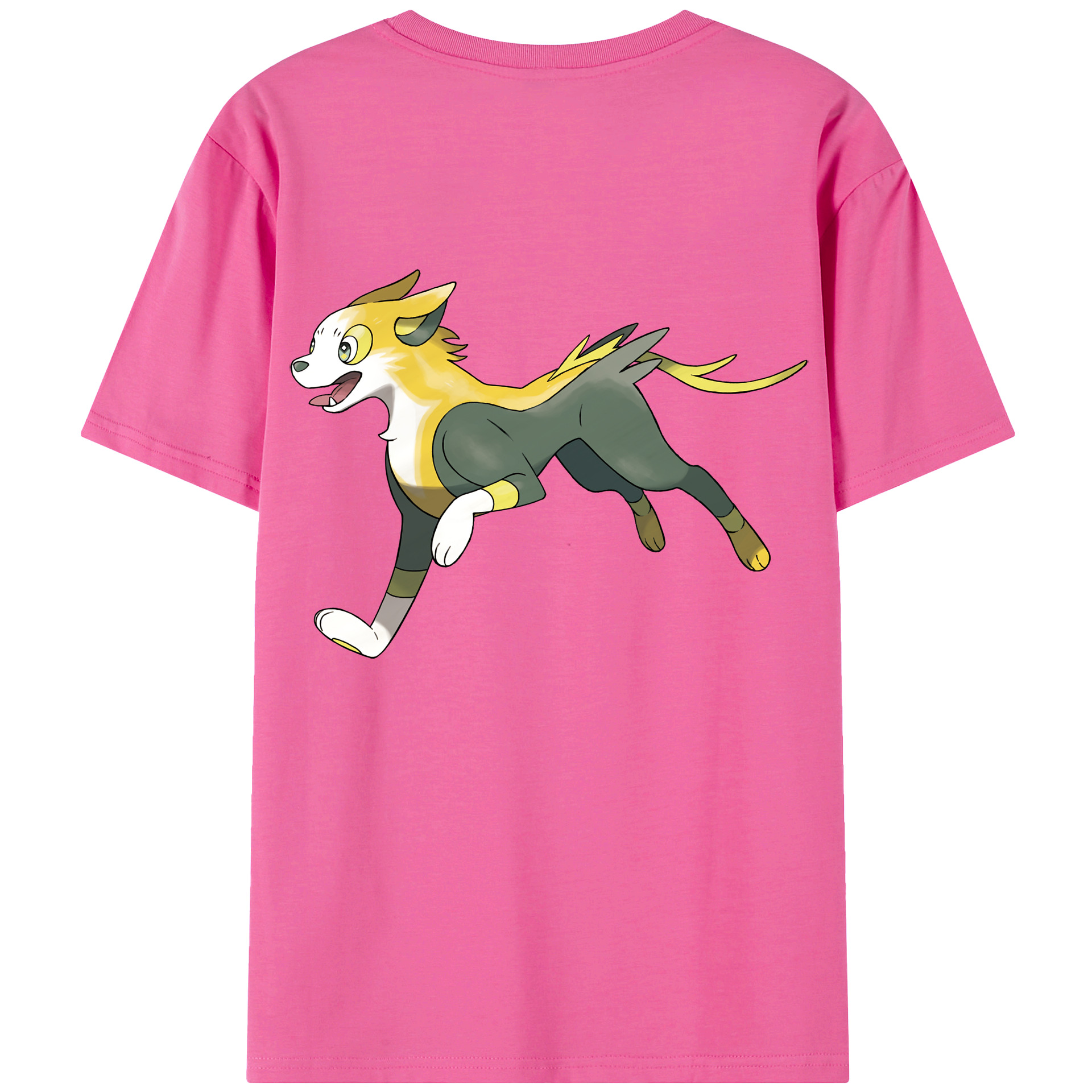 （画像用） ポケットモンスター Pokémon レディース半袖Tシャツ(バックプリント)